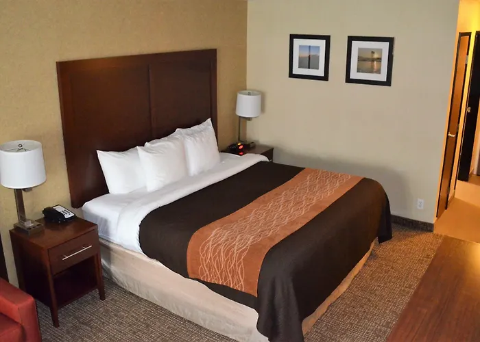 Comfort Inn & Suites Vancouver Downtown City Center